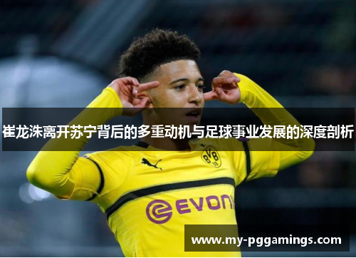 崔龙洙离开苏宁背后的多重动机与足球事业发展的深度剖析