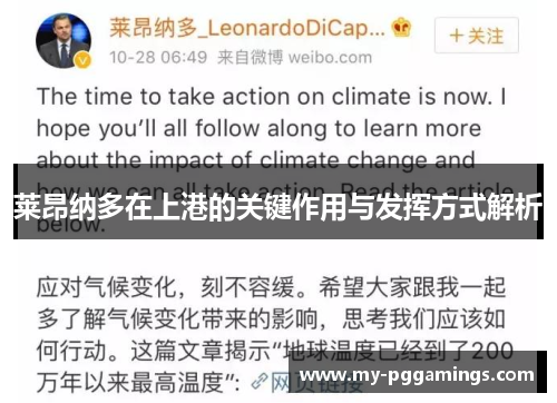 莱昂纳多在上港的关键作用与发挥方式解析