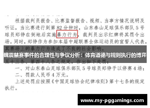 魏震禁赛事件的合理性与争议分析：体育道德与规则执行的博弈